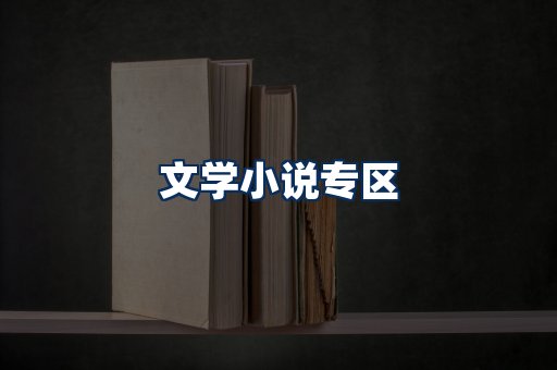 文学小说PDF展示
